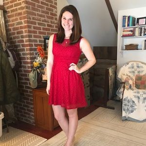 Dress Barn Lace Dress